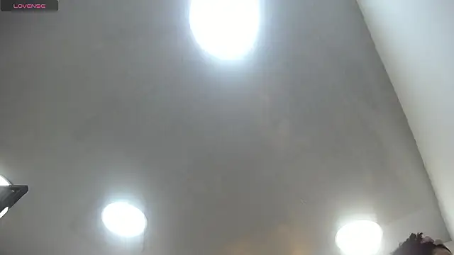 MrWilliseo online show from February 2026 07:50:02 PM