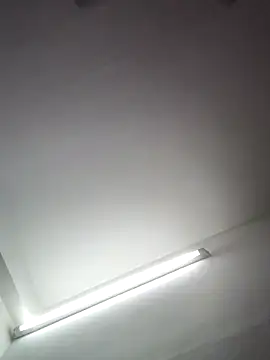 Tamilrojanew online show from March 2026 04:51:02 AM