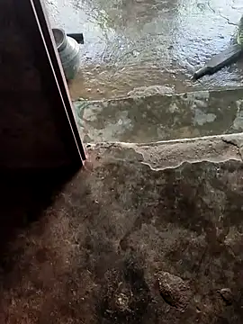 Snapshot of poojaji2024 chatting on February 2025 05:35:01 AM poojaji2024 online show from February 2025 05:35:01 AM