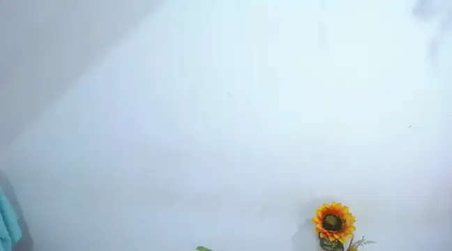 Snapshot of diamonmeli chatting on January 2025 03:57:02 PM diamonmeli online show from January 2025 03:57:02 PM