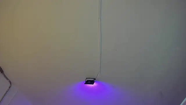 Snapshot of Amy_Kiitty_ chatting on February 2026 01:00:02 PM Amy Kiitty online show from February 2026 01:00:02 PM