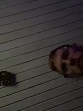 luv2cum7491 online show from December 2024 07:33:02 AM