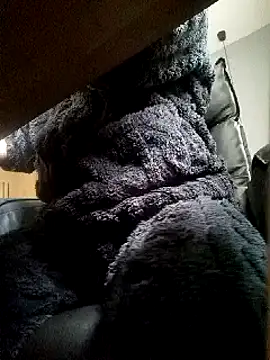 JJBOY-SF online show from March 2025 09:14:01 AM