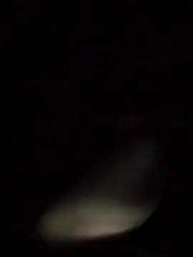 axelongshaft69 online show from March 2026 12:53:01 PM