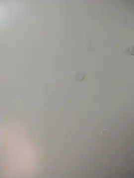 geilerschwanz64 online show from December 2025 06:38:02 PM