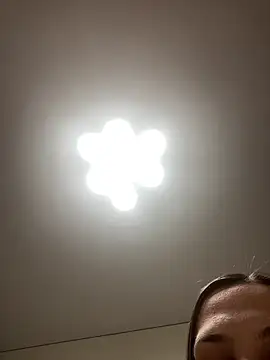 Janet Welder online show from April 2026 12:08:02 AM