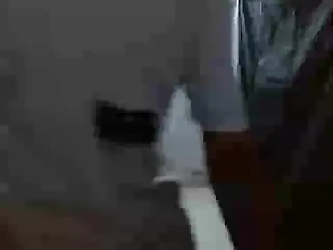 latino hotxxx online show from October 2025 11:27:01 PM