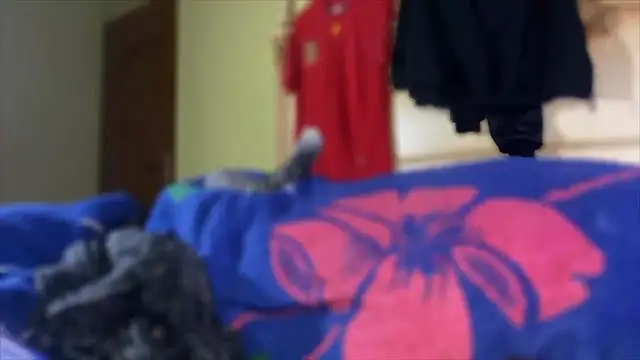 emylolo9 online show from January 2025 01:47:01 PM