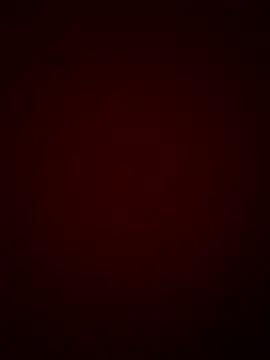 Snapshot of DINA-FOX chatting on January 2025 11:55:02 PM DINA-FOX online show from January 2025 11:55:02 PM