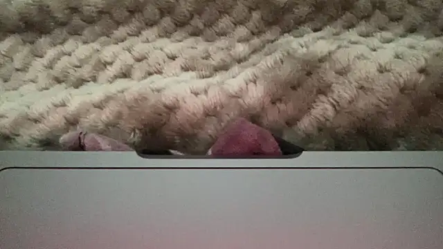 thick n hard online show from December 2024 09:51:01 AM