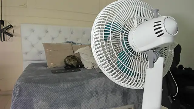 Snapshot of Slut_Milf_ chatting on January 2025 10:44:01 PM Slut Milf  online show from January 2025 10:44:01 PM