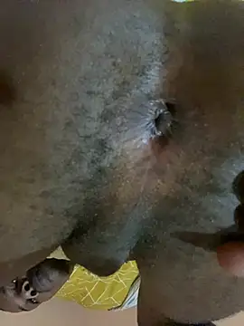 skyfall200 online show from December 2024 09:06:01 PM