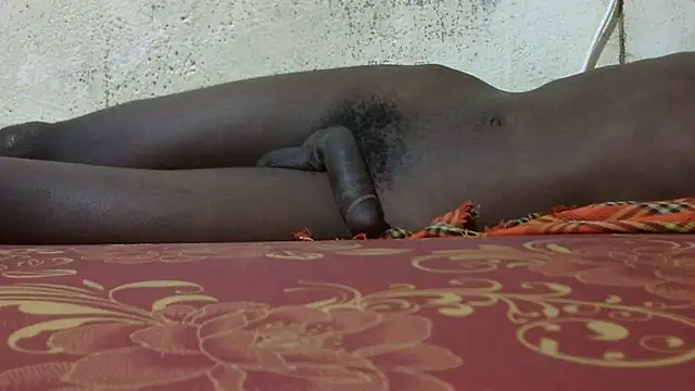 RidingLogging online show from December 2024 08:33:01 PM