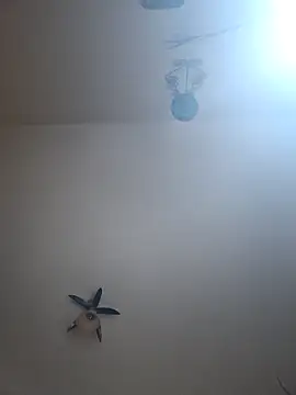 vulpe8400 online show from April 2026 10:31:02 PM