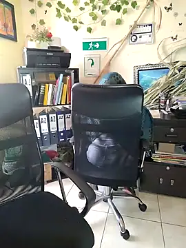 Snapshot of NAJWA-ARAB chatting on January 2025 02:24:02 PM NAJWA-ARAB online show from January 2025 02:24:02 PM