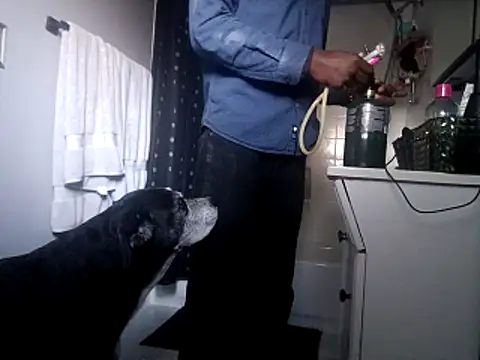 DevinToore online show from October 2025 10:33:02 PM