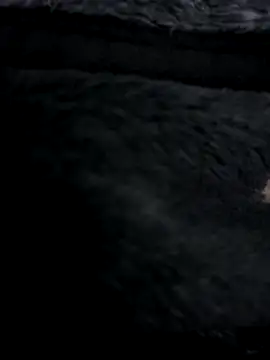 Snapshot of MetalJoint2 chatting on November 2025 03:32:02 AM MetalJoint2 online show from November 2025 03:32:02 AM