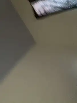 Carolinen online show from March 2026 07:42:01 PM