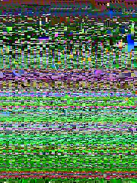 desiduzz21 online show from February 2025 11:24:02 AM