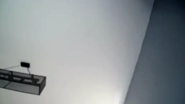 DynamicDuo oxo online show from December 2024 09:18:01 AM