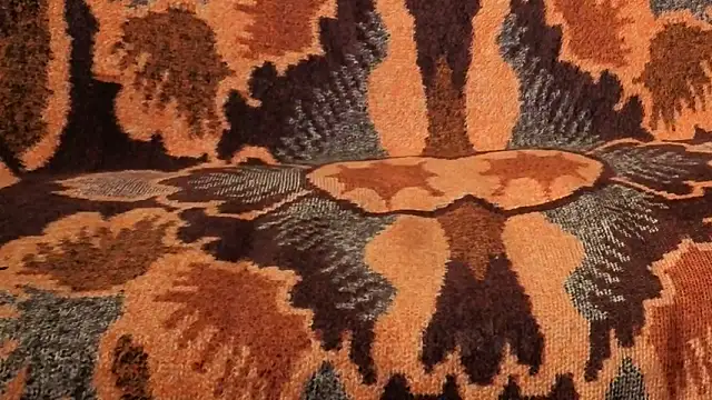 loverboyxxx69 online show from February 2026 01:26:02 PM