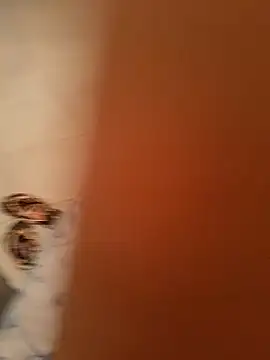 Aya germany online show from February 2025 07:05:02 PM