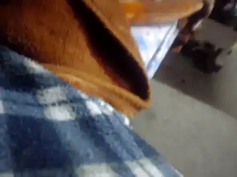 licalo56 online show from January 2026 11:10:01 PM