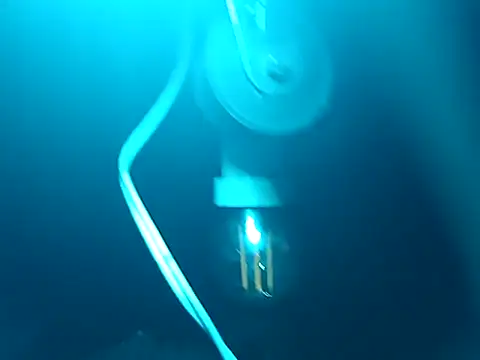 tus ordenes mis deseos online show from April 2026 05:54:02 AM