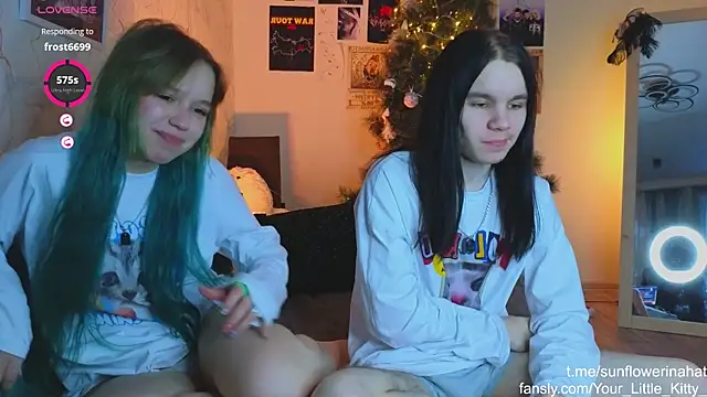 812sunflowerinahat online show from January 2025 11:32:02 AM