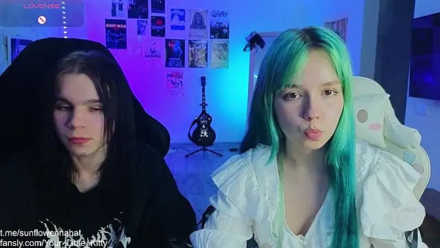 812sunflowerinahat online show from March 2025 04:29:02 PM