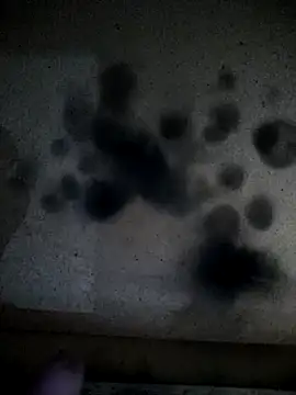 Leocesar37 online show from April 2026 02:17:02 AM