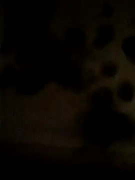 Snapshot of Leocesar37 chatting on May 2026 02:23:01 PM Leocesar37 online show from May 2026 02:23:01 PM