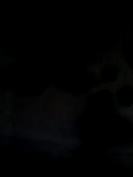 Snapshot of Leocesar37 chatting on June 2026 05:43:01 AM Leocesar37 online show from June 2026 05:43:01 AM