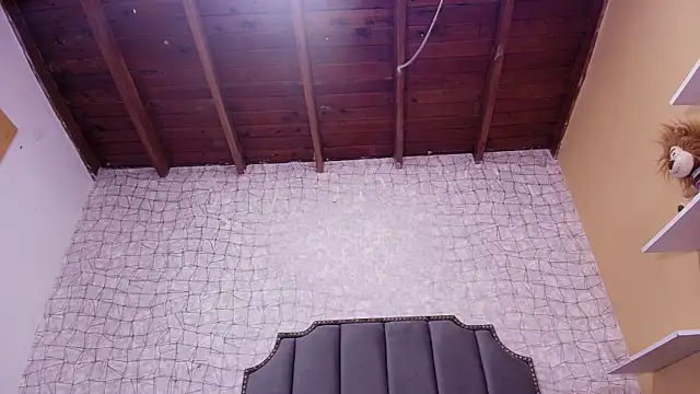 luce williams online show from February 2025 07:14:01 PM