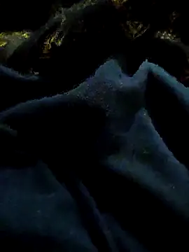 pusssyhub online show from November 2025 11:08:02 PM