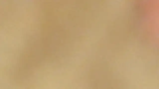 Snapshot of AraCopple chatting on December 2024 03:45:01 AM AraCopple online show from December 2024 03:45:01 AM