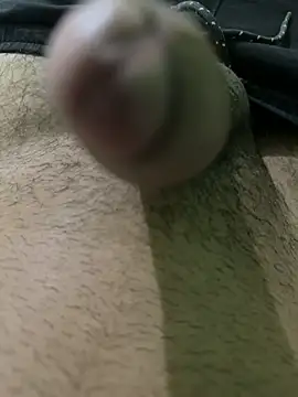 Pussylover 32 online show from April 2026 04:39:01 AM