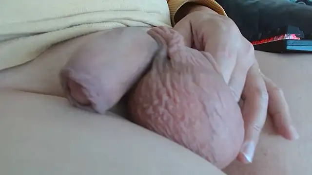 Heracles00 online show from October 2025 12:27:01 PM