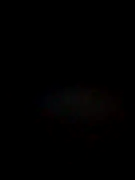 perkins1mm online show from January 2025 11:45:01 AM