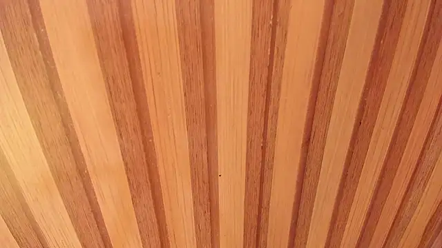 Taylor  cooper online show from February 2026 06:58:01 PM