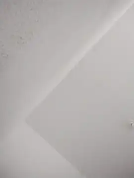 barboza991 online show from February 2025 03:20:01 PM