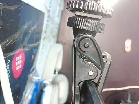 bellacrespalatina online show from April 2026 02:40:01 PM