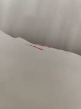 Snapshot of SertSikici022 chatting on September 2025 01:44:02 PM SertSikici022 online show from September 2025 01:44:02 PM