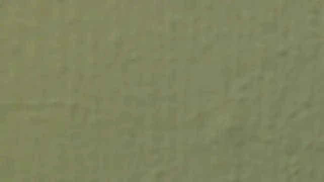 xLyibitsa online show from January 2025 07:21:01 PM