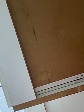 luara1988 online show from February 2026 05:31:01 PM