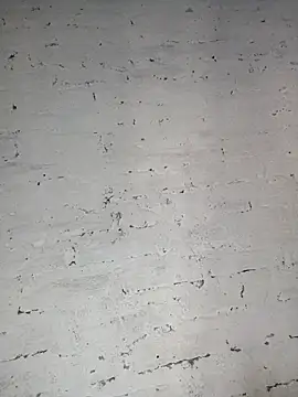 Y4NcA online show from September 2025 10:37:02 PM