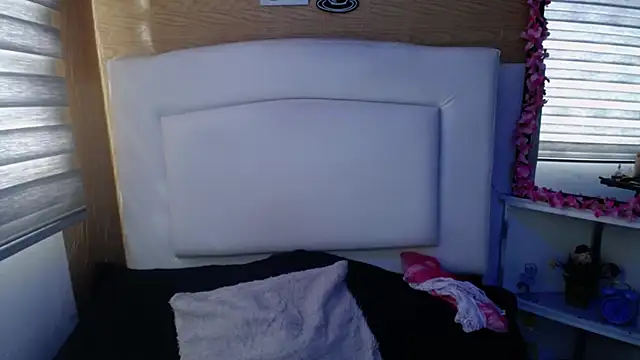 palmer mIix online show from December 2024 08:23:02 PM