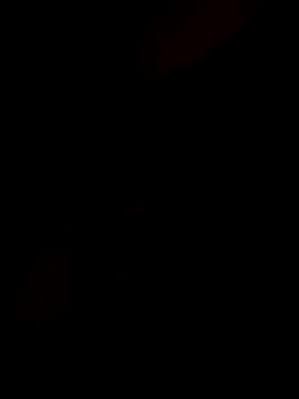 Snapshot of InnocentSupply4 chatting on November 2025 02:45:01 AM InnocentSupply4 online show from November 2025 02:45:01 AM