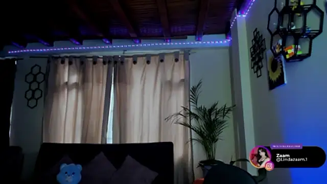 linda zaam83866 online show from February 2026 05:21:01 PM