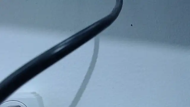 Hanna Fox 69 online show from February 2025 07:37:02 AM